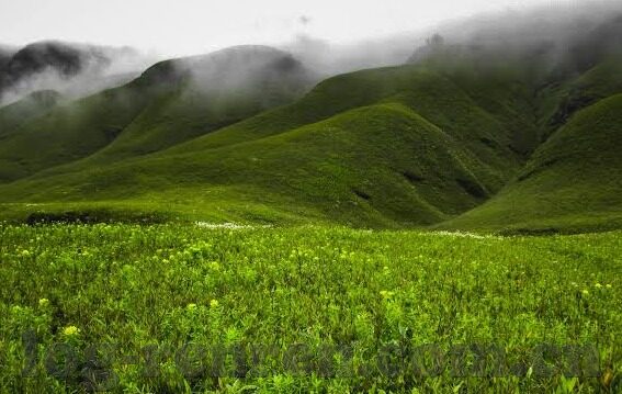 乐鱼体育app 我游网-乐鱼体育App邂逅我游网，新兴数字娱乐平台与在线旅游服务的完美融合